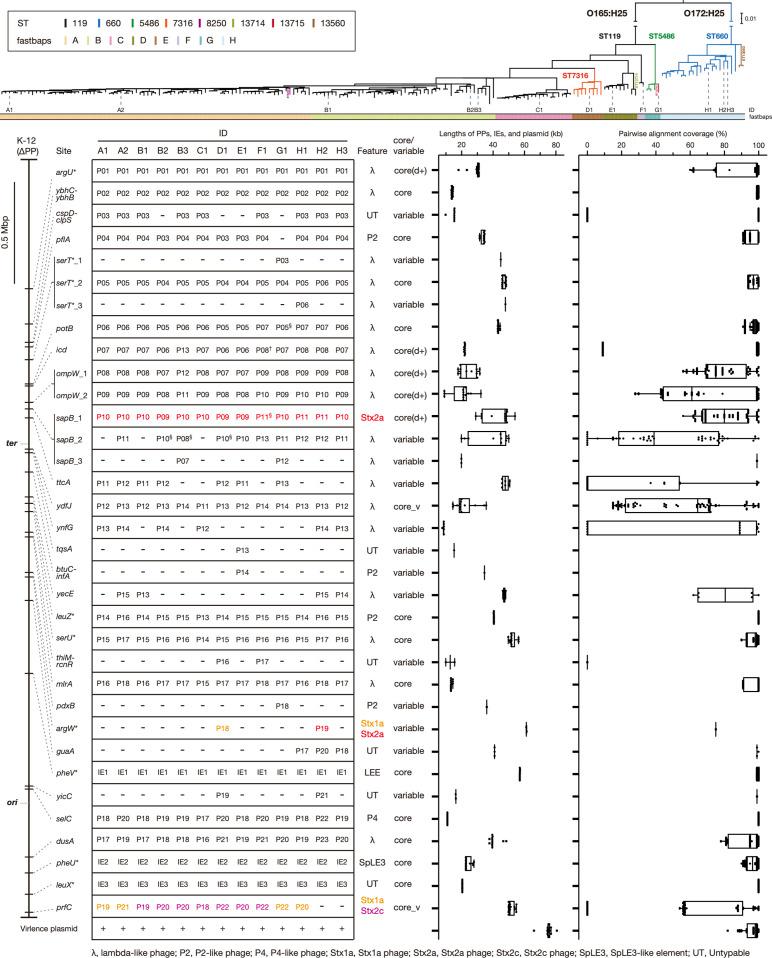 https://cdn.ncbi.nlm.nih.gov/pmc/blobs/7039/10132054/fb4c2ad7275a/mgen-9-959-g004.jpg