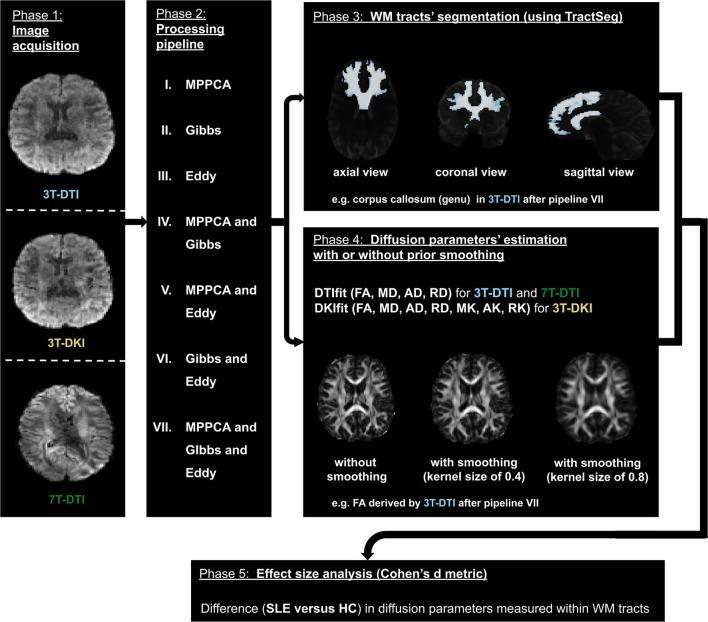 https://cdn.ncbi.nlm.nih.gov/pmc/blobs/703a/9087851/052990a85ac5/fneur-13-837385-g0001.jpg