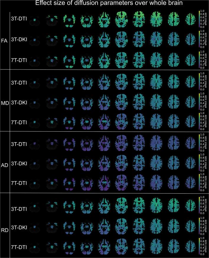 https://cdn.ncbi.nlm.nih.gov/pmc/blobs/703a/9087851/23e37e35b201/fneur-13-837385-g0009.jpg