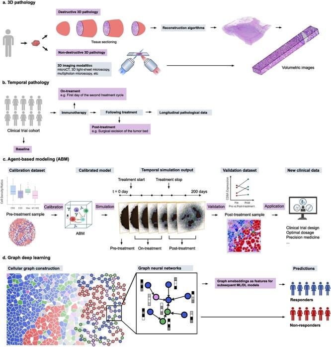https://cdn.ncbi.nlm.nih.gov/pmc/blobs/703c/11343572/28c9199b186d/bbae421f5.jpg
