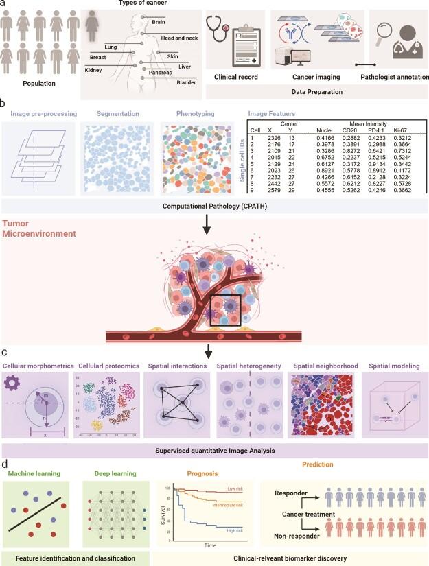 https://cdn.ncbi.nlm.nih.gov/pmc/blobs/703c/11343572/420269d5c9a7/bbae421f1.jpg