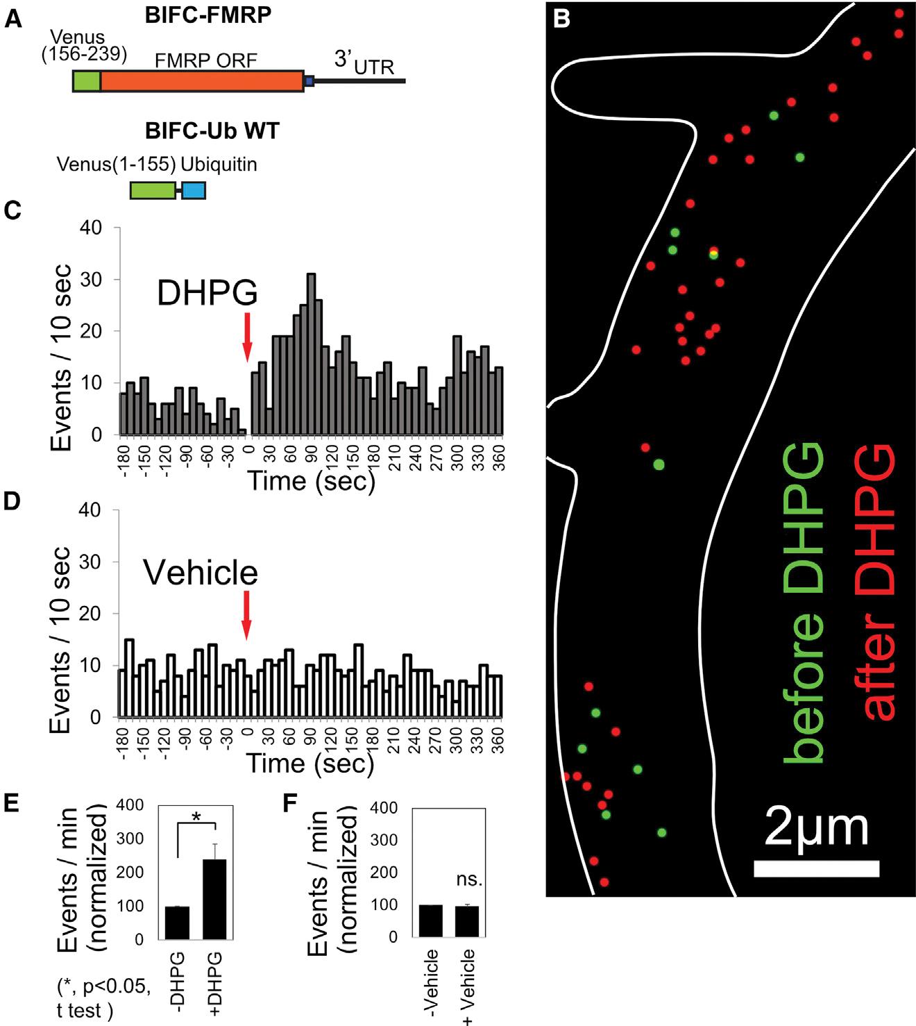https://cdn.ncbi.nlm.nih.gov/pmc/blobs/703c/9795412/2580ba4dc0f1/nihms-1850761-f0008.jpg