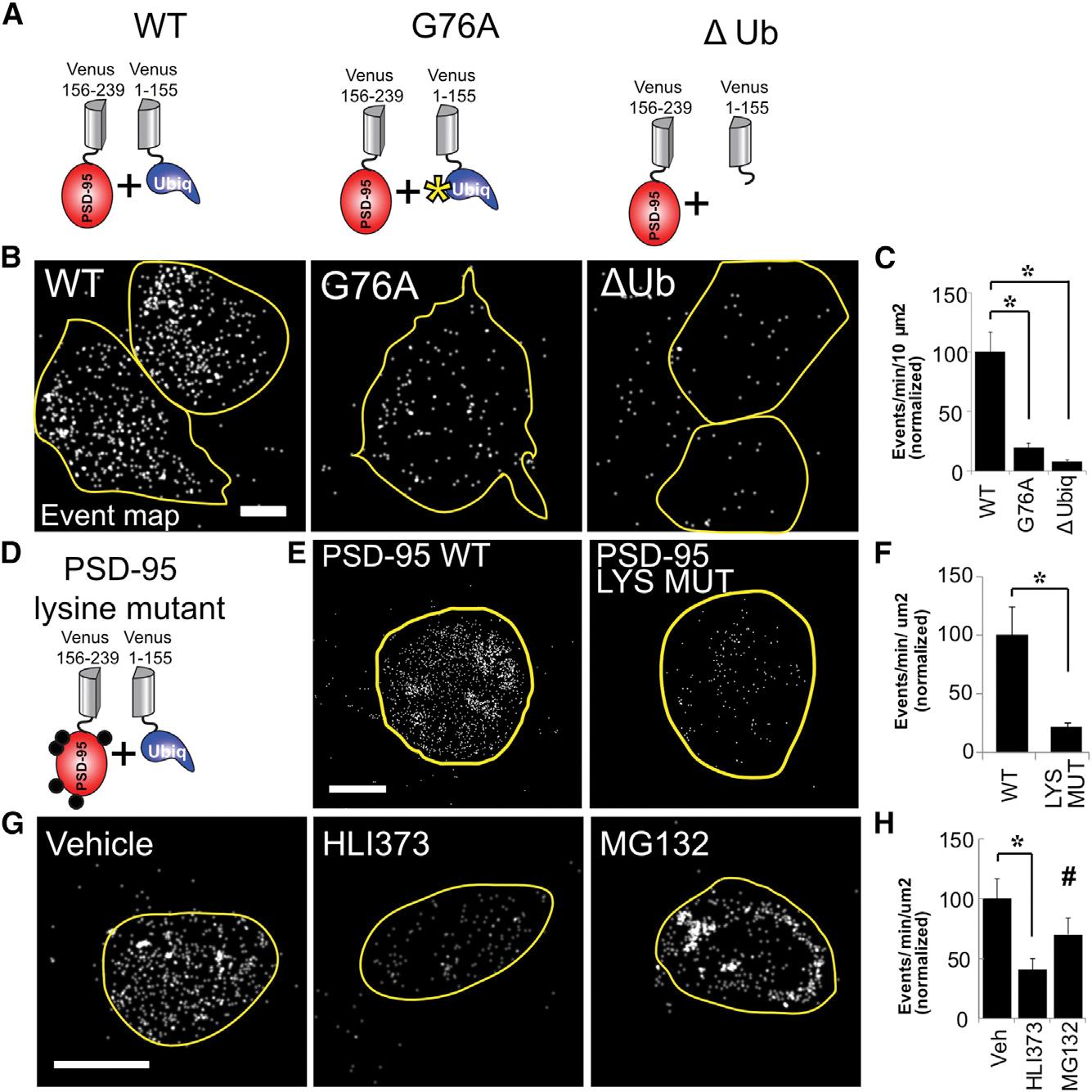 https://cdn.ncbi.nlm.nih.gov/pmc/blobs/703c/9795412/661e7727327d/nihms-1850761-f0003.jpg