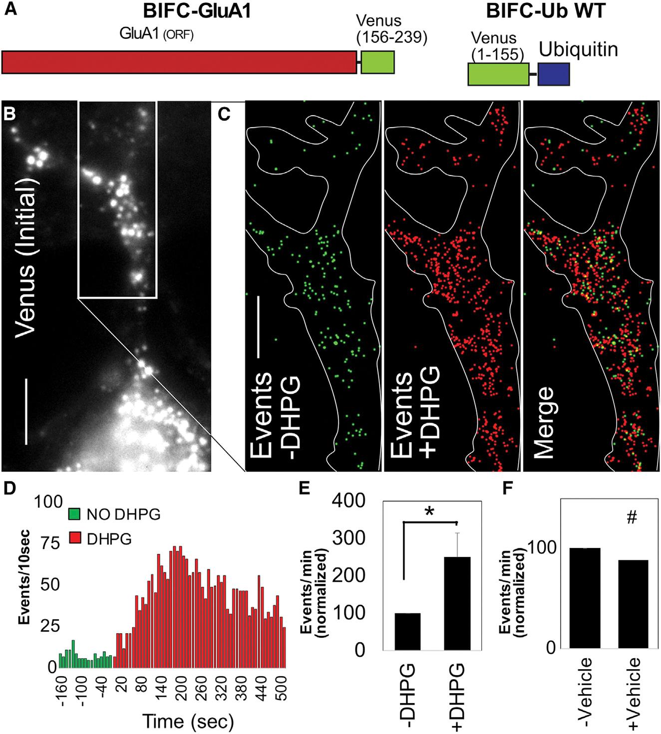 https://cdn.ncbi.nlm.nih.gov/pmc/blobs/703c/9795412/9e150f57b6f0/nihms-1850761-f0007.jpg