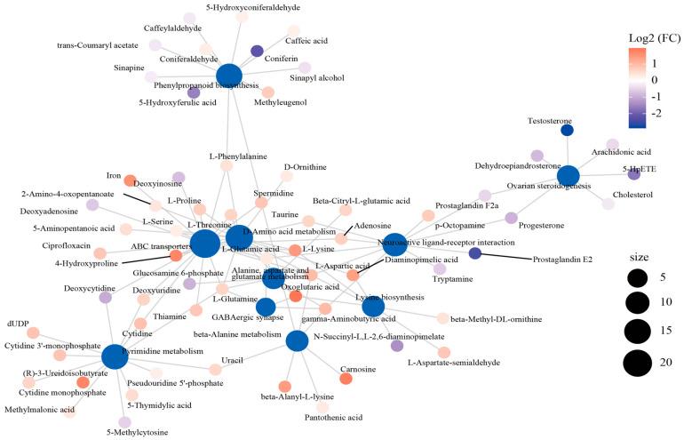 https://cdn.ncbi.nlm.nih.gov/pmc/blobs/703e/11852077/11e160898365/antioxidants-14-00217-g005.jpg