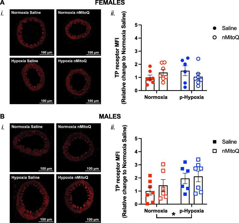 https://cdn.ncbi.nlm.nih.gov/pmc/blobs/703f/11188502/3ddf5c8295fc/13293_2024_627_Fig9_HTML.jpg