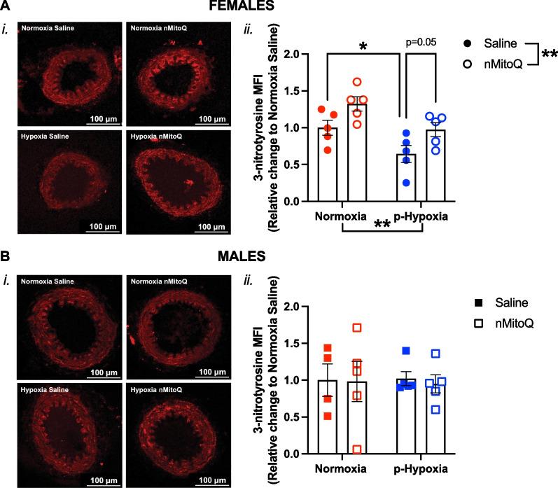https://cdn.ncbi.nlm.nih.gov/pmc/blobs/703f/11188502/a1fe2567f92b/13293_2024_627_Fig8_HTML.jpg