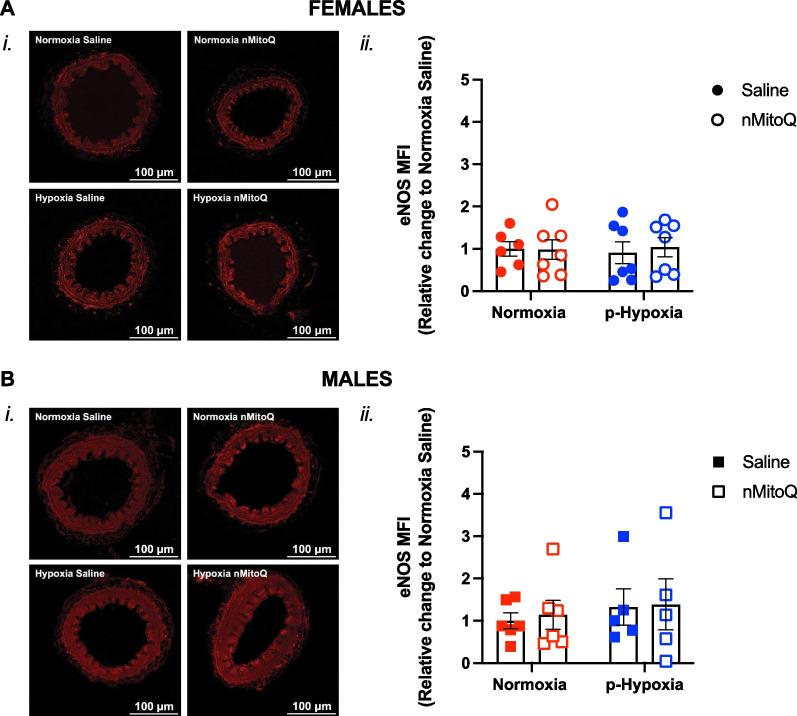 https://cdn.ncbi.nlm.nih.gov/pmc/blobs/703f/11188502/fee292c366ec/13293_2024_627_Fig6_HTML.jpg