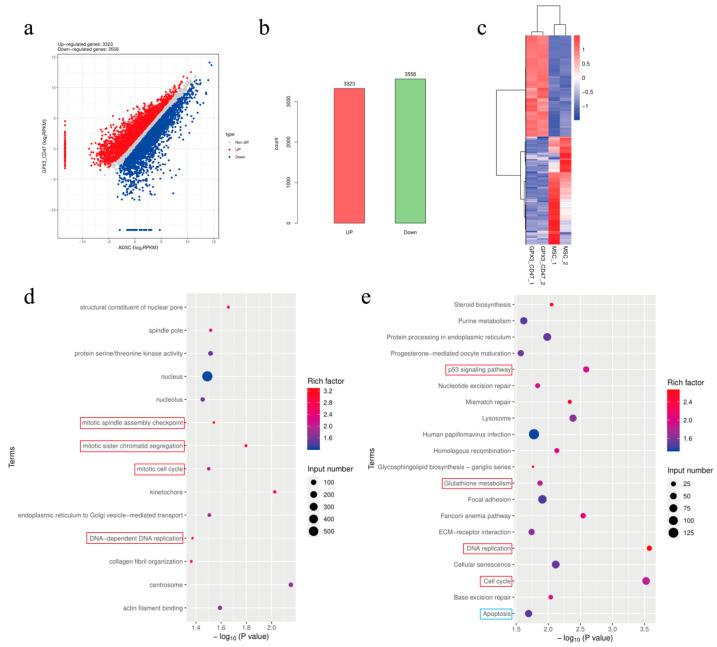 https://cdn.ncbi.nlm.nih.gov/pmc/blobs/703f/11861084/017db4766d46/vetsci-12-00149-g002.jpg