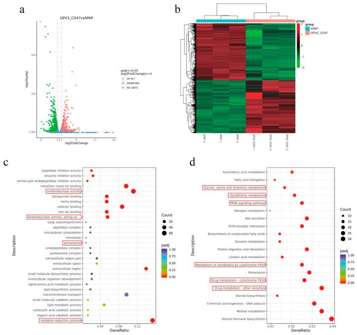 https://cdn.ncbi.nlm.nih.gov/pmc/blobs/703f/11861084/45bc9e855004/vetsci-12-00149-g007.jpg