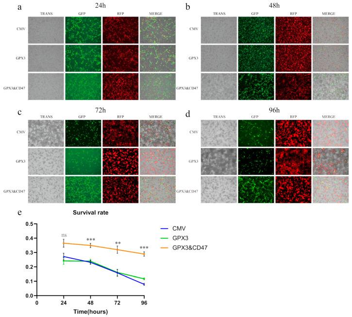 https://cdn.ncbi.nlm.nih.gov/pmc/blobs/703f/11861084/b77fb07e495e/vetsci-12-00149-g003.jpg