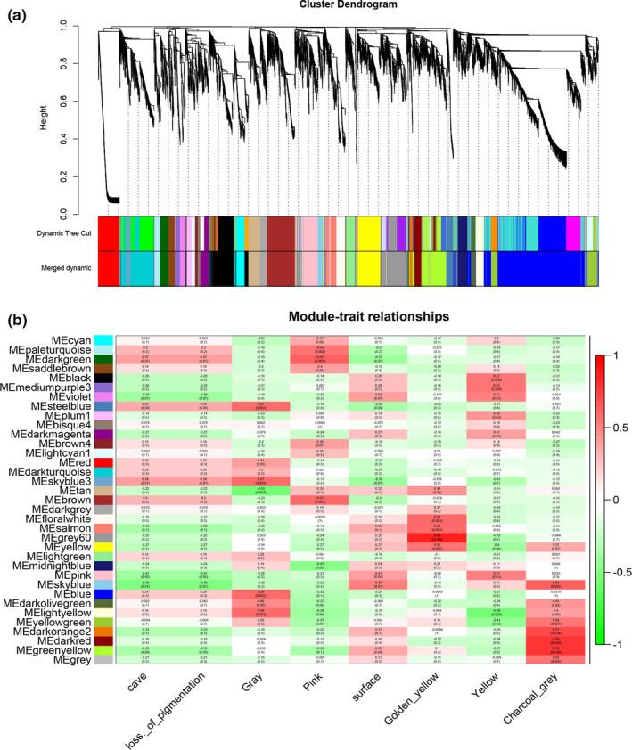 https://cdn.ncbi.nlm.nih.gov/pmc/blobs/7041/7771137/6a835ed00c6d/ECE3-10-14256-g006.jpg