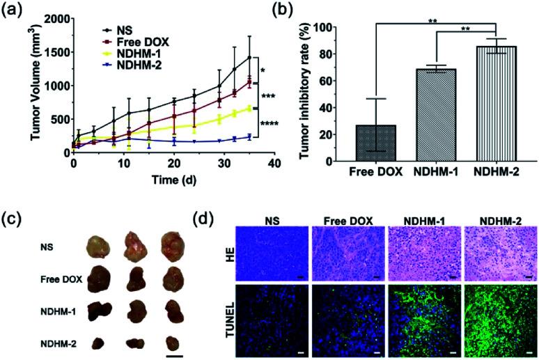 https://cdn.ncbi.nlm.nih.gov/pmc/blobs/7041/9072589/fb1b977c3a8f/c9ra04343h-f7.jpg