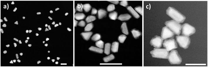 https://cdn.ncbi.nlm.nih.gov/pmc/blobs/7043/6399153/a33020b3b483/fbioe-07-00019-g0002.jpg