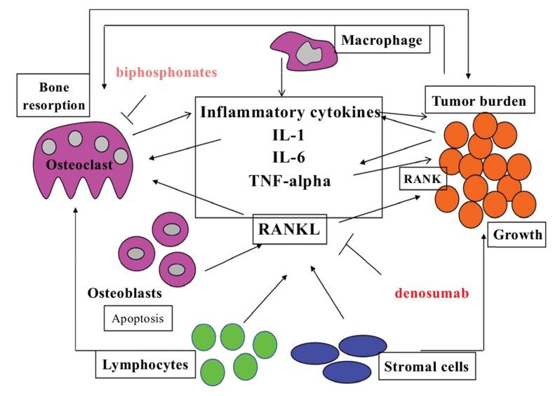 https://cdn.ncbi.nlm.nih.gov/pmc/blobs/7044/5204071/4e39b1bf17cf/CMC-23-3754_F5.jpg