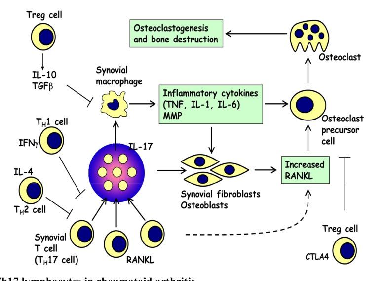 https://cdn.ncbi.nlm.nih.gov/pmc/blobs/7044/5204071/c404af8efd7a/CMC-23-3754_F2.jpg