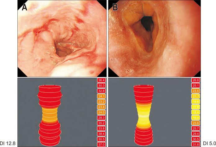 https://cdn.ncbi.nlm.nih.gov/pmc/blobs/7046/8283286/f8f1aae4dc51/gnl-15-4-546-f2.jpg