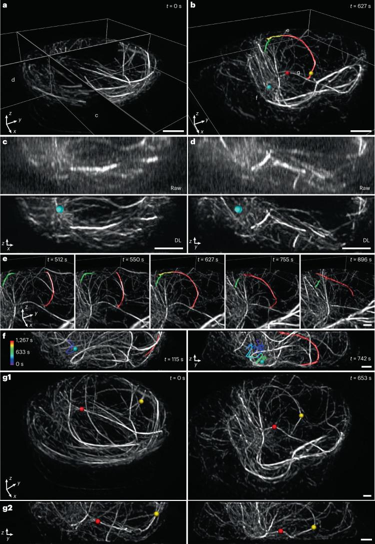 https://cdn.ncbi.nlm.nih.gov/pmc/blobs/7047/10497409/552108903745/41587_2022_1651_Fig6_HTML.jpg