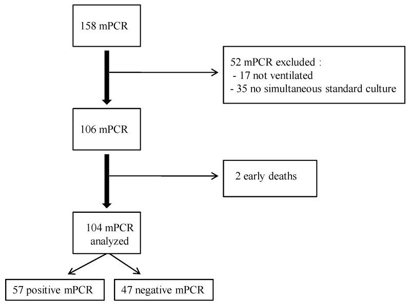 https://cdn.ncbi.nlm.nih.gov/pmc/blobs/7047/10741159/969a36c6aa79/antibiotics-12-01646-g001.jpg