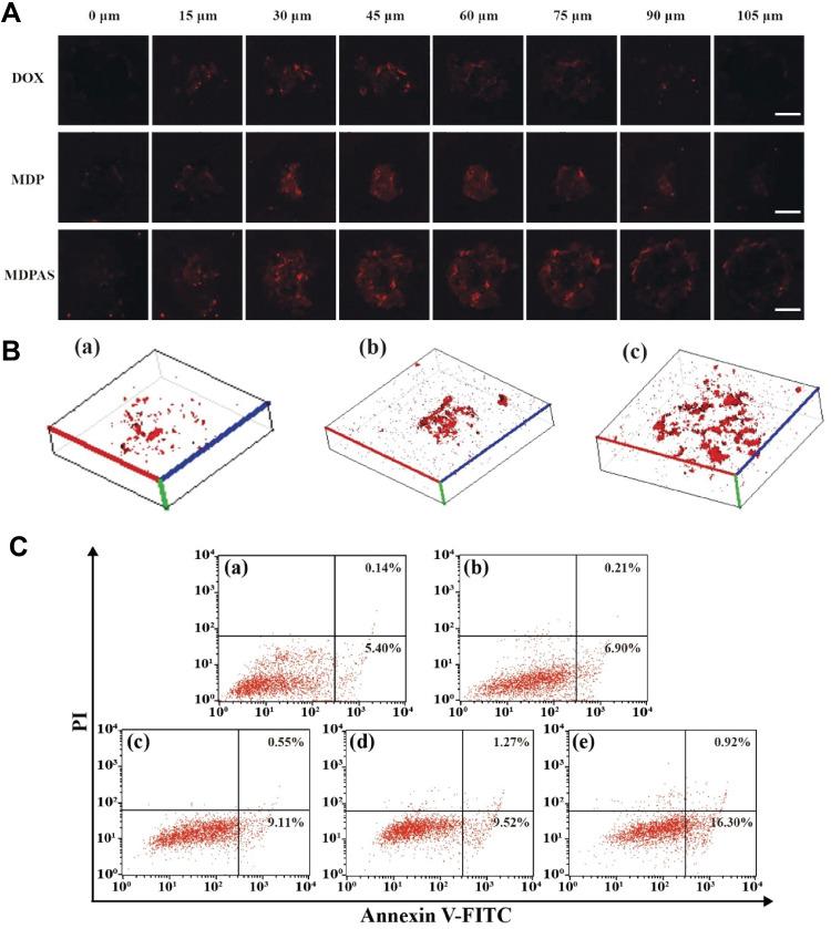 https://cdn.ncbi.nlm.nih.gov/pmc/blobs/7047/8019667/0da08364b53b/IJN-16-2569-g0006.jpg