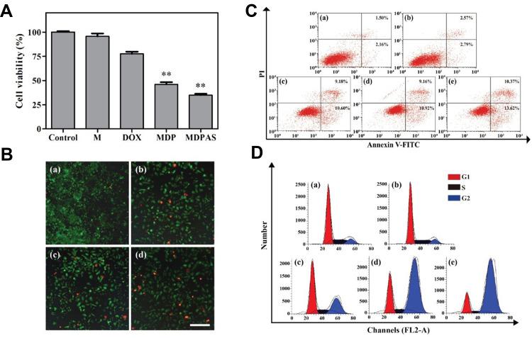https://cdn.ncbi.nlm.nih.gov/pmc/blobs/7047/8019667/29812a52ec28/IJN-16-2569-g0005.jpg