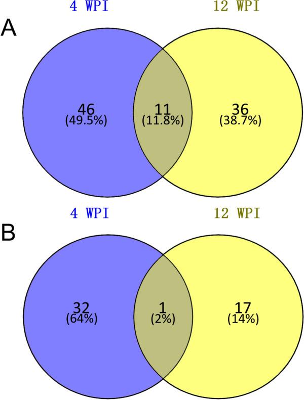 https://cdn.ncbi.nlm.nih.gov/pmc/blobs/704d/10469881/86a204e4a075/13071_2023_5881_Fig5_HTML.jpg