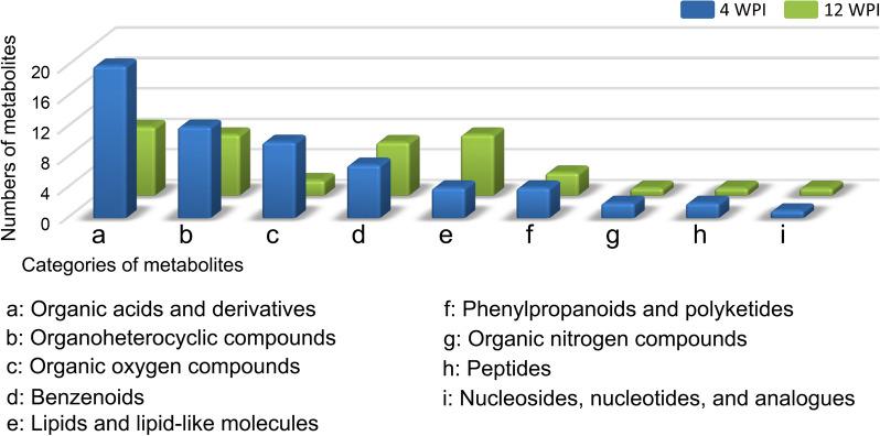 https://cdn.ncbi.nlm.nih.gov/pmc/blobs/704d/10469881/f4249df43633/13071_2023_5881_Fig6_HTML.jpg