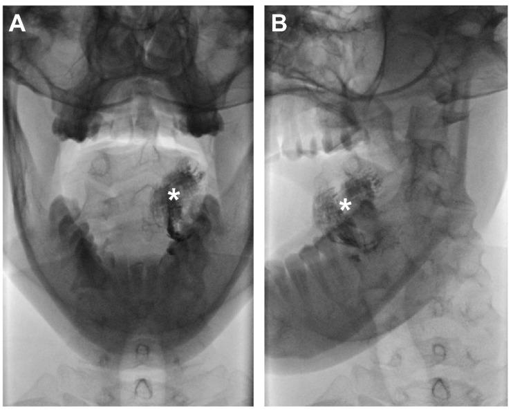 https://cdn.ncbi.nlm.nih.gov/pmc/blobs/704d/9456579/c2165506d01c/jcm-11-05129-g002.jpg
