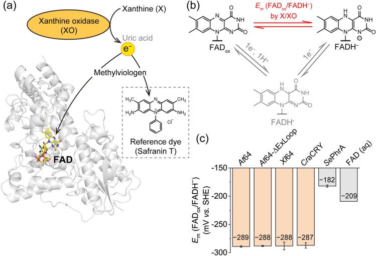 https://cdn.ncbi.nlm.nih.gov/pmc/blobs/704f/10551024/5c04a6ce0156/41598_2023_43930_Fig1_HTML.jpg