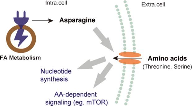 https://cdn.ncbi.nlm.nih.gov/pmc/blobs/7050/7078199/46897230cd9a/41598_2020_61851_Fig7_HTML.jpg