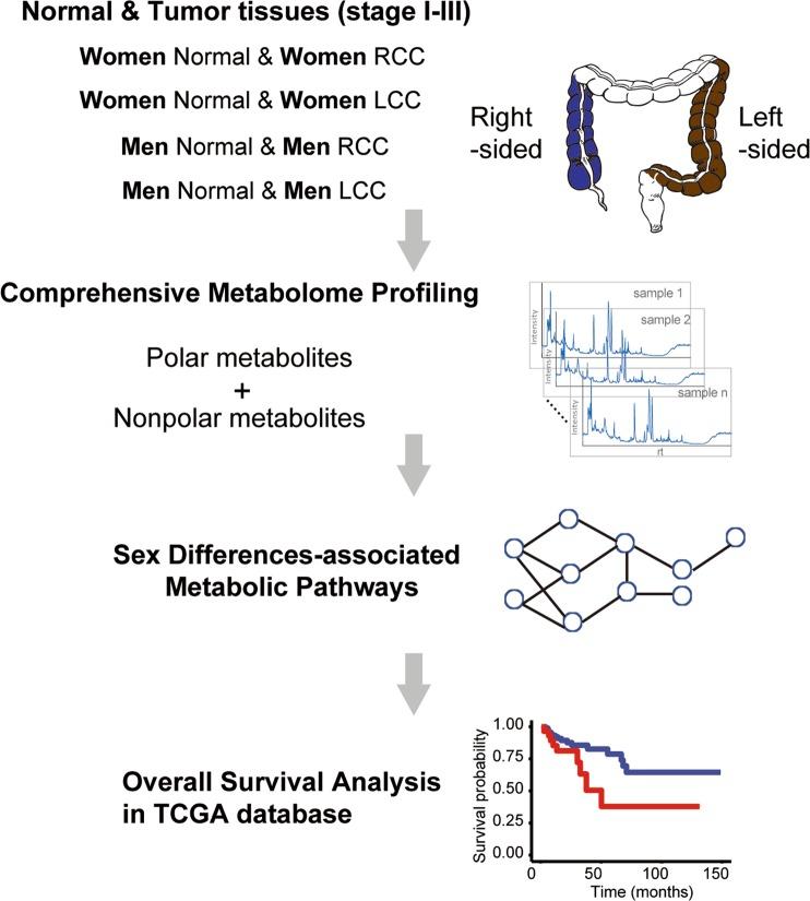https://cdn.ncbi.nlm.nih.gov/pmc/blobs/7050/7078199/6119b274c343/41598_2020_61851_Fig1_HTML.jpg