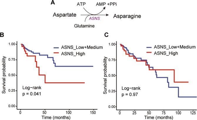 https://cdn.ncbi.nlm.nih.gov/pmc/blobs/7050/7078199/7cfe3e46fd2b/41598_2020_61851_Fig5_HTML.jpg