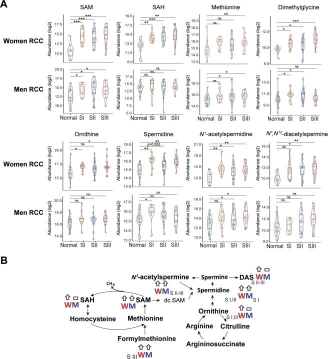 https://cdn.ncbi.nlm.nih.gov/pmc/blobs/7050/7078199/ba0817edee33/41598_2020_61851_Fig6_HTML.jpg