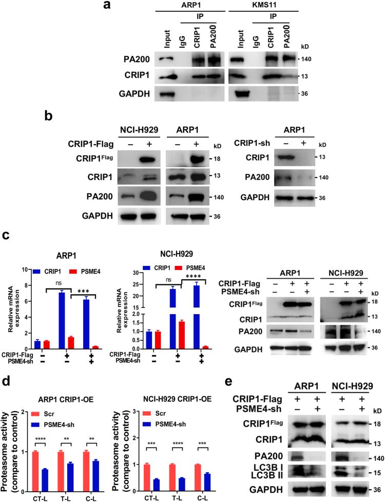 https://cdn.ncbi.nlm.nih.gov/pmc/blobs/7051/10825369/2d282a8a3418/gr4.jpg