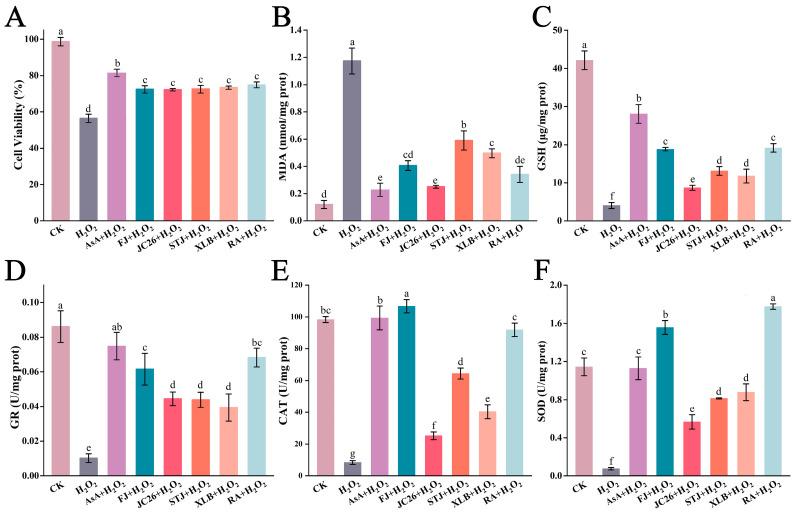 https://cdn.ncbi.nlm.nih.gov/pmc/blobs/7051/11672981/09b37c0189ed/antioxidants-13-01562-g002.jpg