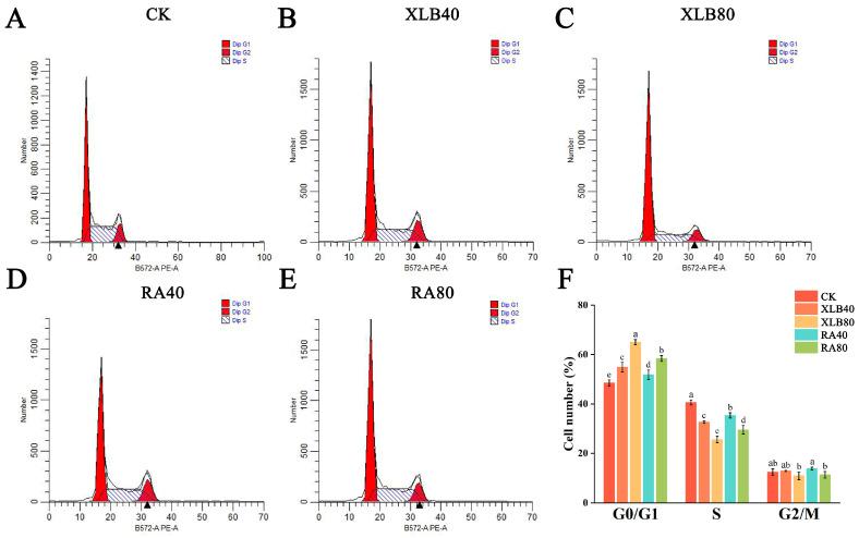 https://cdn.ncbi.nlm.nih.gov/pmc/blobs/7051/11672981/81a7327c8386/antioxidants-13-01562-g005.jpg
