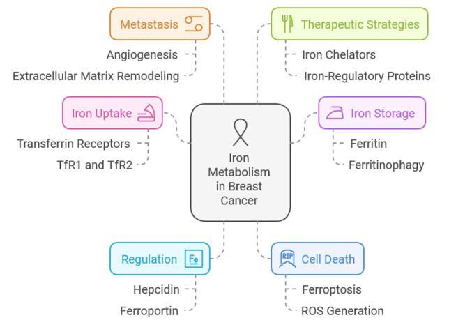 https://cdn.ncbi.nlm.nih.gov/pmc/blobs/7058/12140789/015d237fda6c/ms9-87-3403-g001.jpg