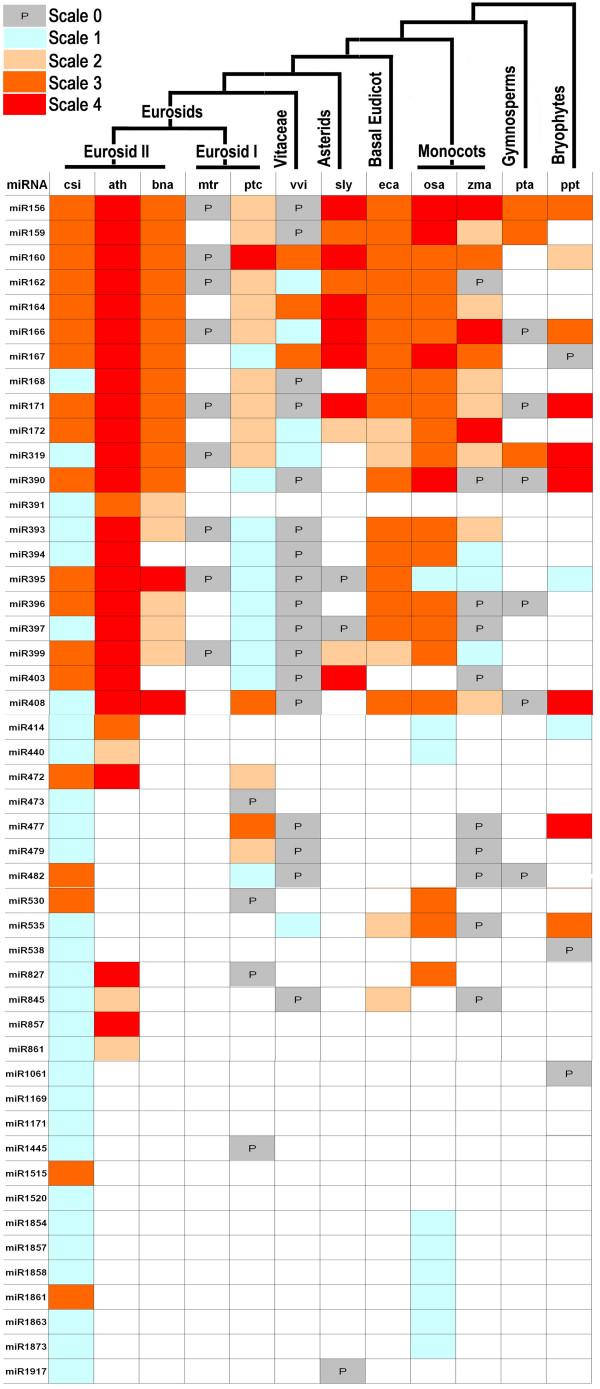 https://cdn.ncbi.nlm.nih.gov/pmc/blobs/705b/2864249/33364dc827c8/1471-2164-11-246-3.jpg