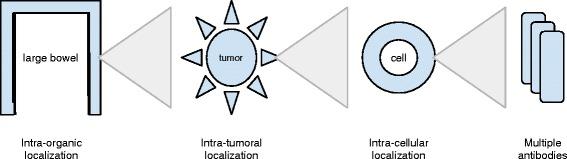 https://cdn.ncbi.nlm.nih.gov/pmc/blobs/705b/4939017/3647d6d8c634/13000_2016_508_Fig1_HTML.jpg