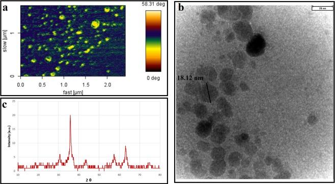 https://cdn.ncbi.nlm.nih.gov/pmc/blobs/705c/6509211/40619fbe4253/41598_2019_43650_Fig2_HTML.jpg