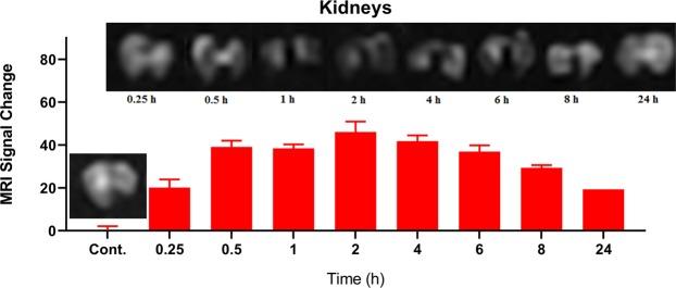 https://cdn.ncbi.nlm.nih.gov/pmc/blobs/705c/6509211/ffb633189030/41598_2019_43650_Fig8_HTML.jpg