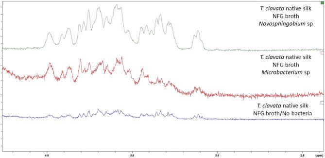 https://cdn.ncbi.nlm.nih.gov/pmc/blobs/705d/11093983/9ca28445ae3e/41598_2024_61723_Fig4_HTML.jpg