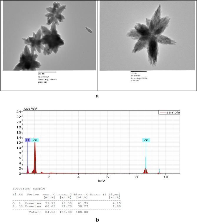 https://cdn.ncbi.nlm.nih.gov/pmc/blobs/705e/11254910/5d5170dd4048/41598_2024_66140_Fig3_HTML.jpg