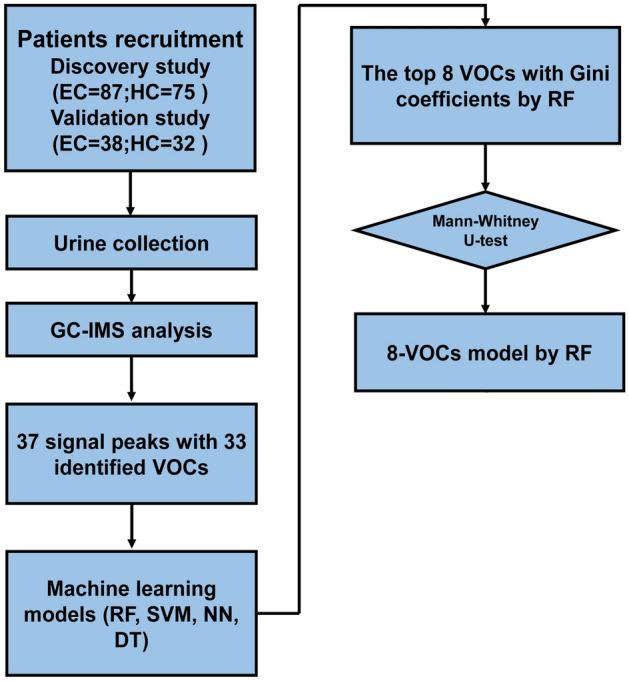 https://cdn.ncbi.nlm.nih.gov/pmc/blobs/7061/10616168/24a8110a8633/41598_2023_45989_Fig1_HTML.jpg