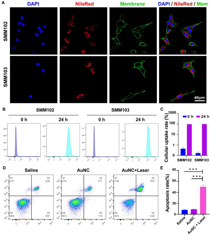 https://cdn.ncbi.nlm.nih.gov/pmc/blobs/7061/10628457/46386845b997/fimmu-14-1279221-g002.jpg