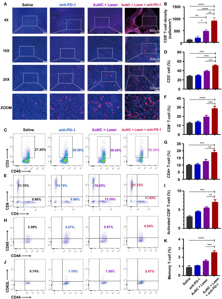 https://cdn.ncbi.nlm.nih.gov/pmc/blobs/7061/10628457/58810cd4ee30/fimmu-14-1279221-g004.jpg