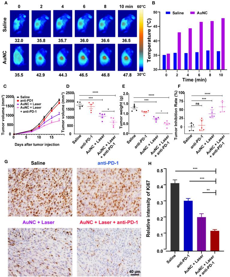 https://cdn.ncbi.nlm.nih.gov/pmc/blobs/7061/10628457/6b7aeff878b0/fimmu-14-1279221-g003.jpg