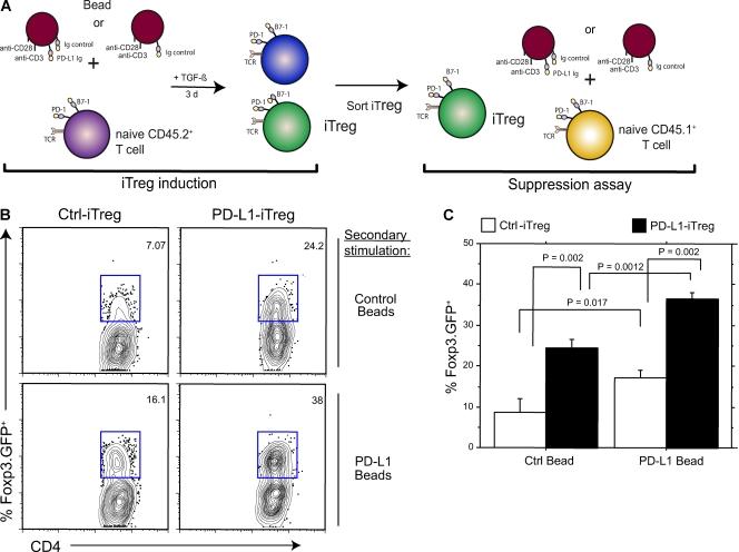 https://cdn.ncbi.nlm.nih.gov/pmc/blobs/7061/2806460/0311a2ea735a/JEM_20090847_RGB_Fig3.jpg
