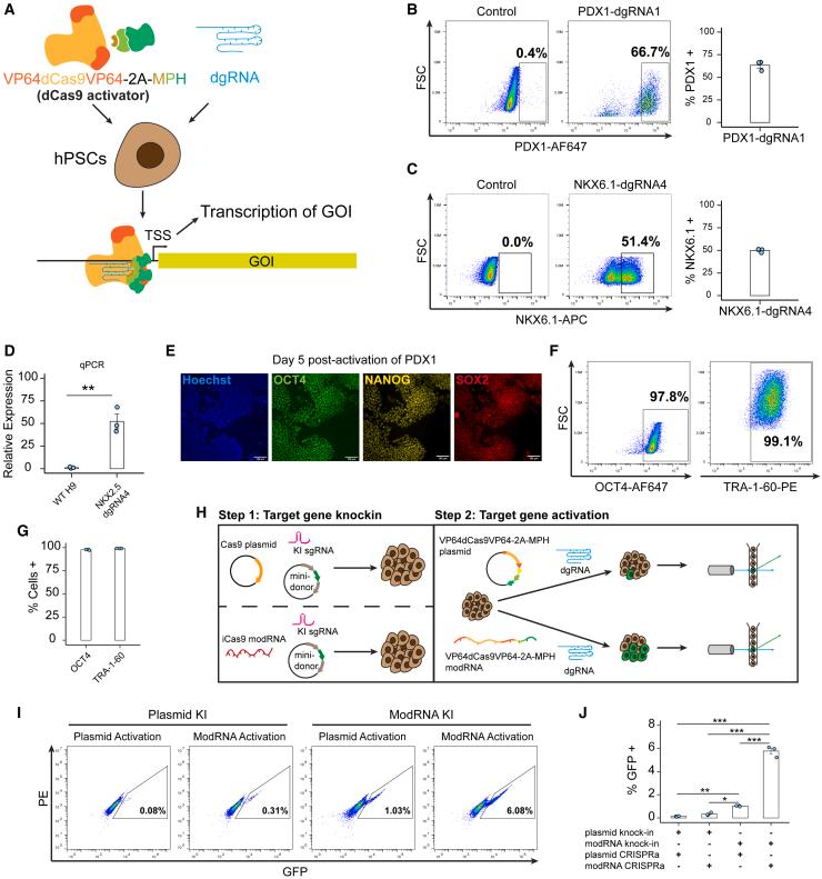 https://cdn.ncbi.nlm.nih.gov/pmc/blobs/7062/11103783/7c5e2db510a0/gr1.jpg