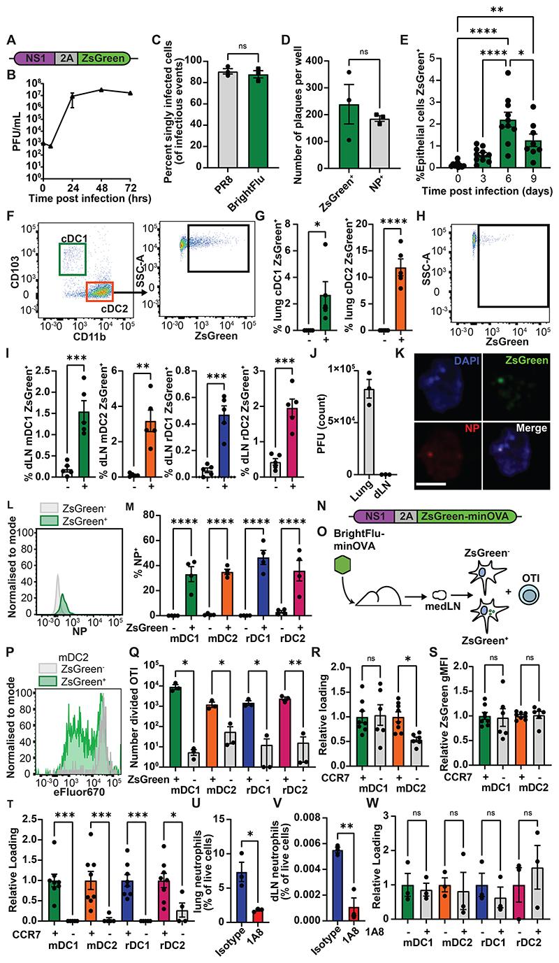 https://cdn.ncbi.nlm.nih.gov/pmc/blobs/7063/7616026/36ab94e15a79/EMS196319-f001.jpg